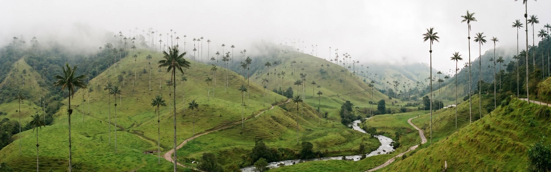 Colombia, Colombia