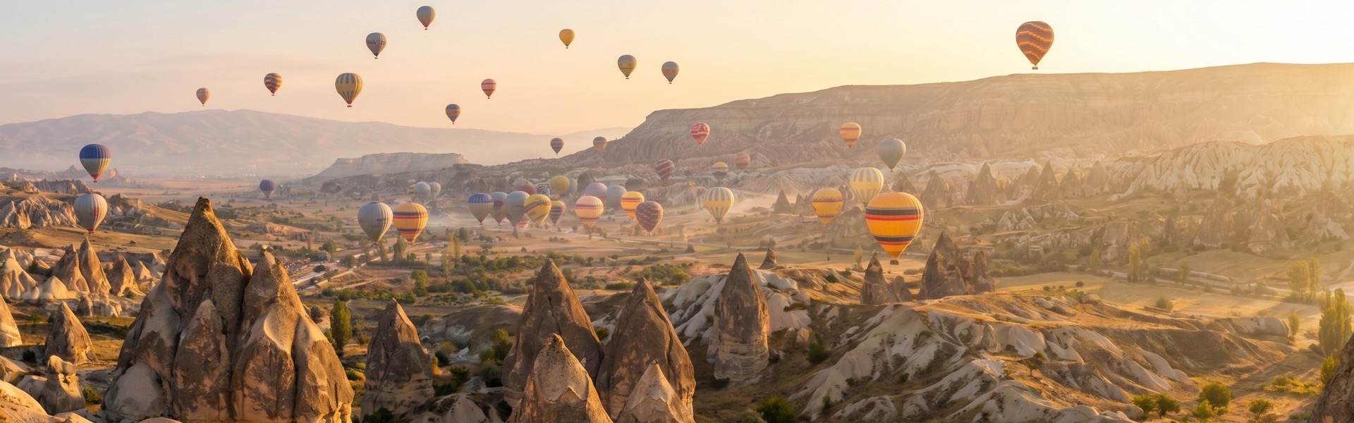 Turkey, Turkey
